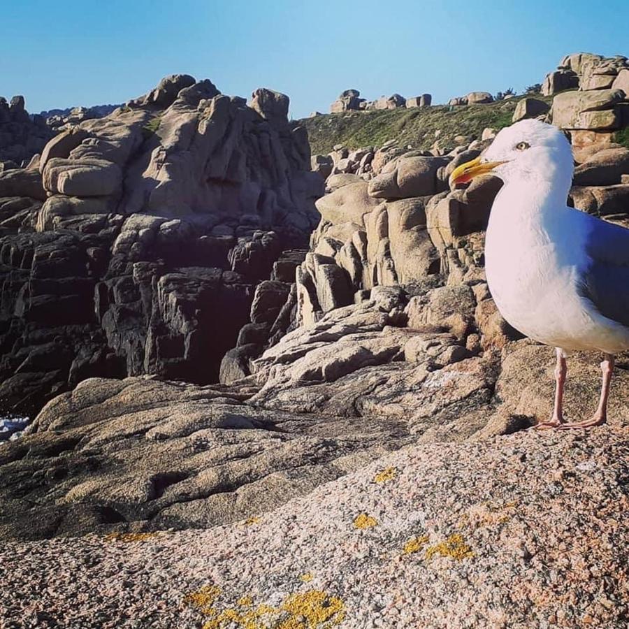 فيلا Les Mouettes Amoureuses Louannec المظهر الخارجي الصورة
